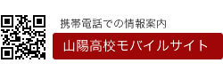 モバイルアクセス