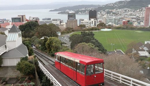 首都観光・学校訪問・そしてホームステイへ…NZ短期語学研修　7～9日目