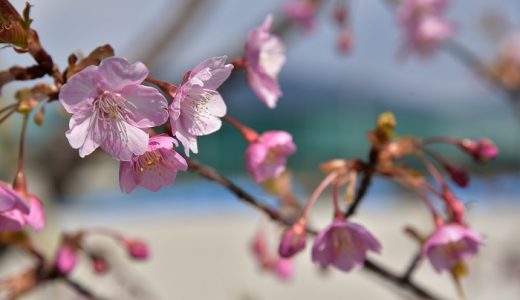 山陽高校の片隅に．．．