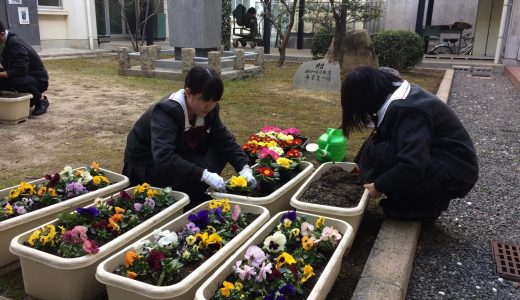 プランターの植え替えを行いました