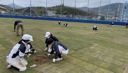 芝生整備のボランティア活動に参加しました（女子硬式野球部）