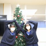 クリスマスツリー登場！
