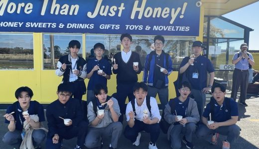 ニュージーランド短期語学研修（8日目）