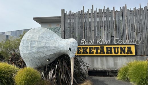 ニュージーランド短期語学研修（14日目）